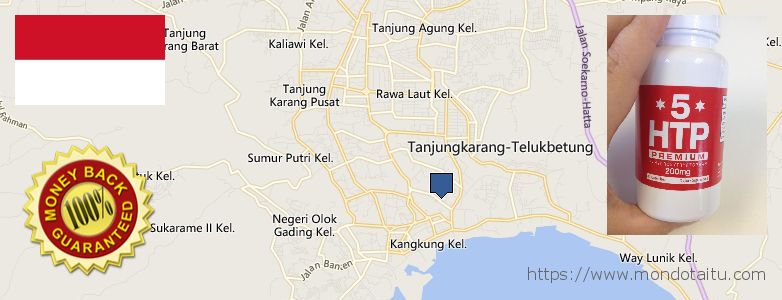 Purchase 5 HTP online Bandar Lampung, Indonesia