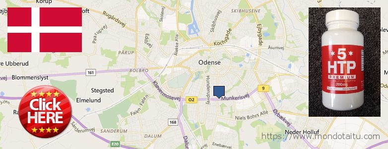 Wo kaufen 5 Htp Premium online Odense, Denmark