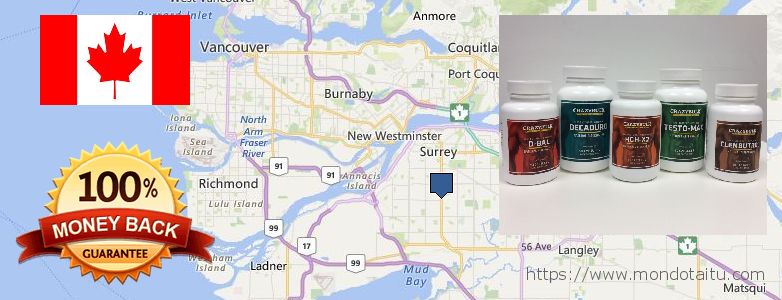 Where to Buy Anavar Steroids Alternative online Surrey, Canada