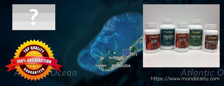 哪里购买 Clenbuterol Steroids 在线 Bermuda