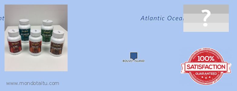 哪里购买 Clenbuterol Steroids 在线 Bouvet Island