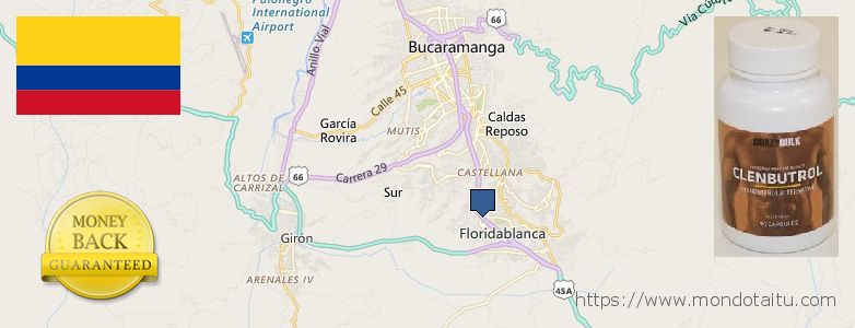 Dónde comprar Clenbuterol Steroids en linea Floridablanca, Colombia