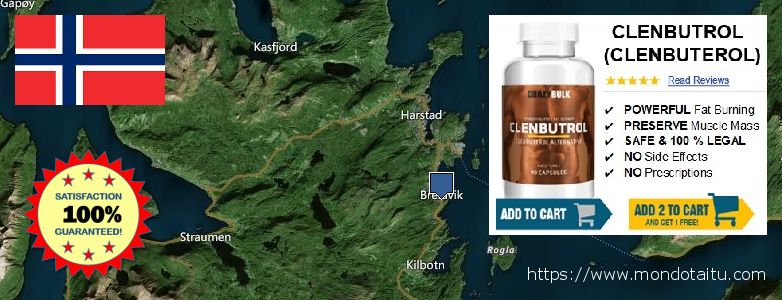 Buy Clenbuterol Steroids Alternative online Harstad, Norway