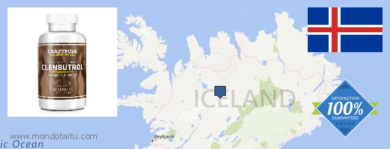 Dónde comprar Clenbuterol Steroids en linea Iceland