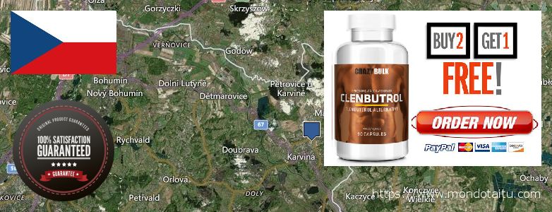 Gdzie kupić Clenbuterol Steroids w Internecie Karvina, Czech Republic