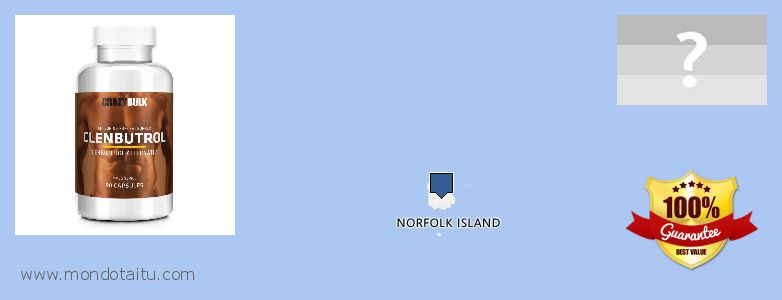 Onde Comprar Clenbuterol Steroids on-line Norfolk Island