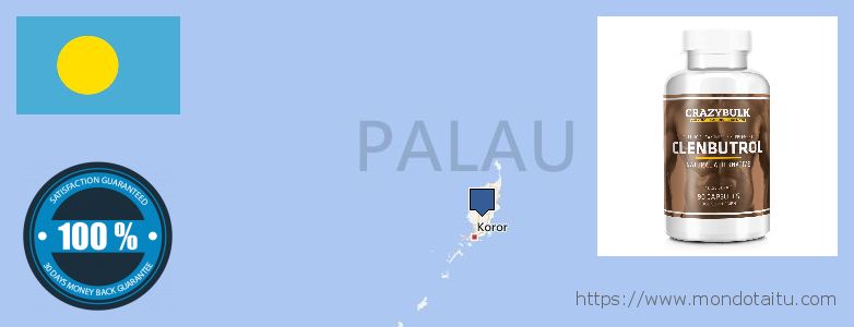 Where to Buy Clenbuterol Steroids Alternative online Palau