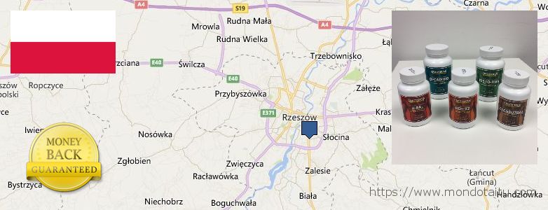 Wo kaufen Clenbuterol Steroids online Rzeszow, Poland