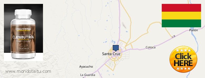 Dónde comprar Clenbuterol Steroids en linea Santa Cruz de la Sierra, Bolivia