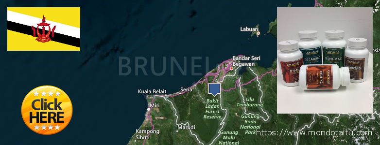 Wo kaufen Deca Durabolin online Brunei