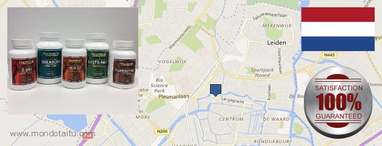 Best Place to Buy Deca Durabolin online Leiden, Netherlands