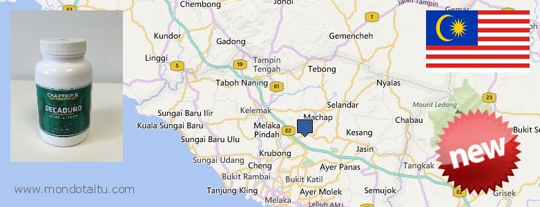 Where to Buy Deca Durabolin online Malacca, Malaysia