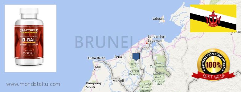 Où Acheter Dianabol Steroids en ligne Brunei