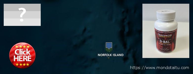 Purchase Dianabol Pills Alternative online Norfolk Island