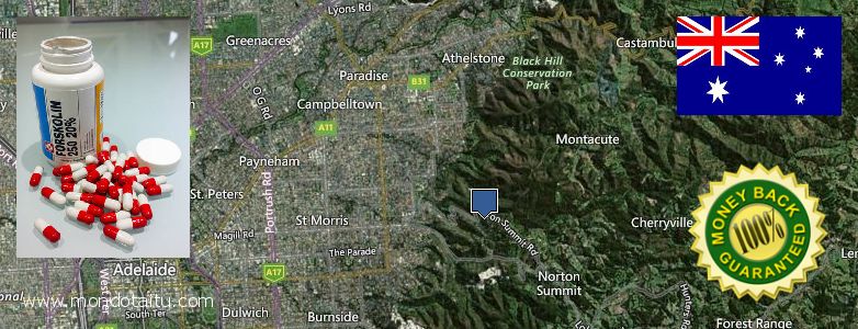 Where to Purchase Forskolin Diet Pills online Adelaide Hills, Australia