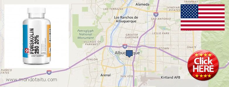 Dónde comprar Forskolin en linea Albuquerque, United States