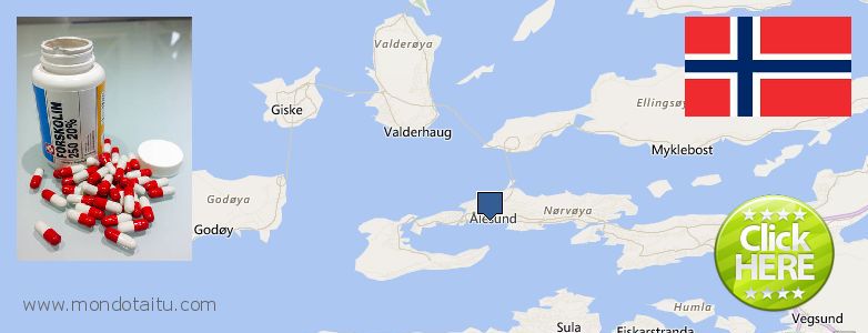 Where to Buy Forskolin Diet Pills online Alesund, Norway