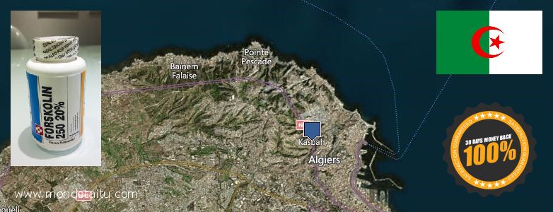 Where Can I Purchase Forskolin Diet Pills online Algiers, Algeria