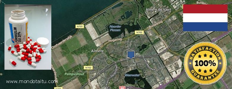 Where to Buy Forskolin Diet Pills online Almere Stad, Netherlands