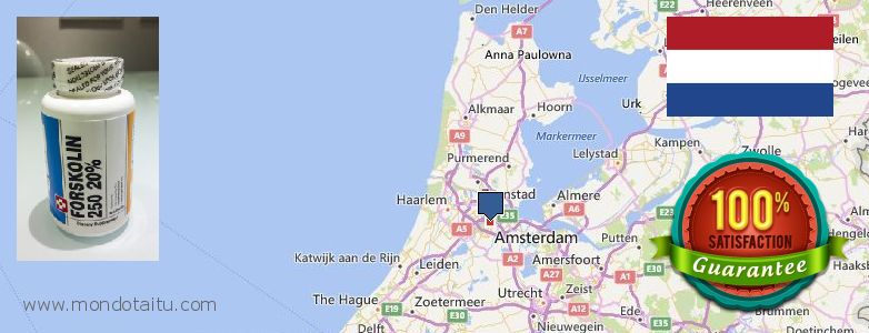 Where Can I Buy Forskolin Diet Pills online Amsterdam, Netherlands