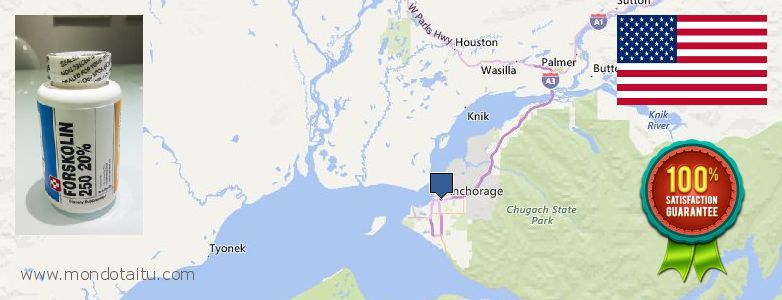 Dove acquistare Forskolin in linea Anchorage, United States