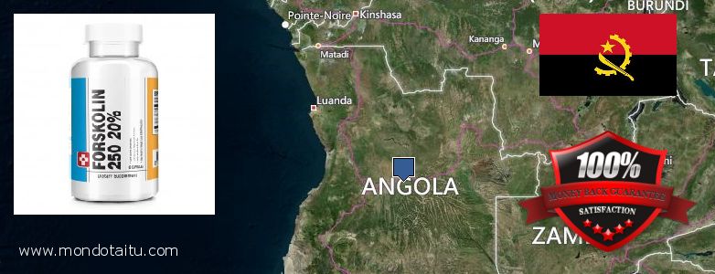 Où Acheter Forskolin en ligne Angola