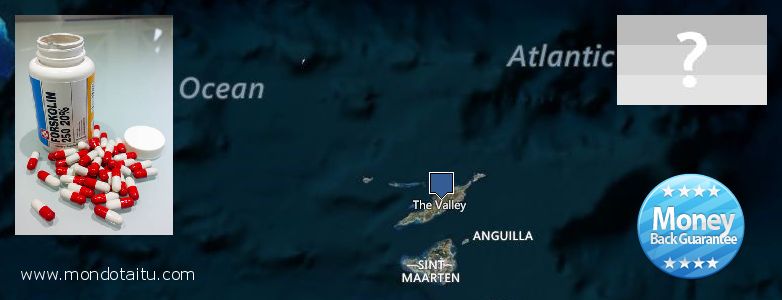 Where to Purchase Forskolin Diet Pills online Anguilla