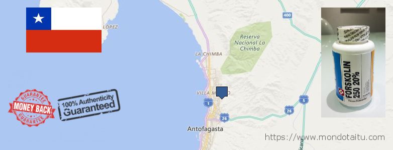 Where Can You Buy Forskolin Diet Pills online Antofagasta, Chile
