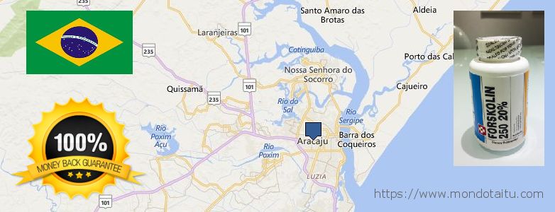 Where to Purchase Forskolin Diet Pills online Aracaju, Brazil