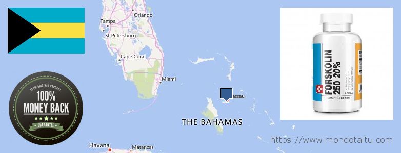 Where to Purchase Forskolin Diet Pills online Bahamas