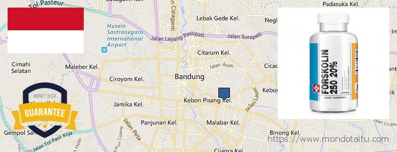 Where to Buy Forskolin Diet Pills online Bandung, Indonesia