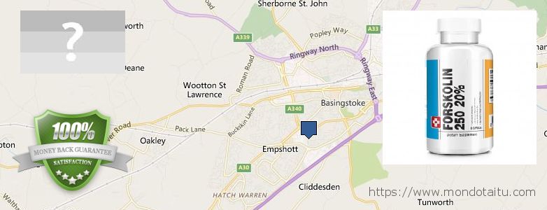 Dónde comprar Forskolin en linea Basingstoke, UK