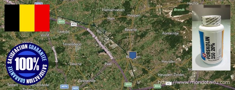 Waar te koop Forskolin online Beringen, Belgium