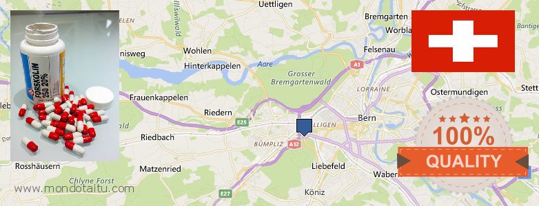 Wo kaufen Forskolin online Bern, Switzerland