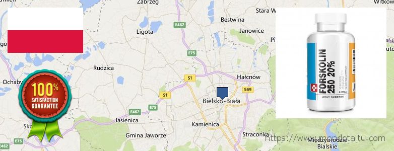 Wo kaufen Forskolin online Bielsko-Biala, Poland