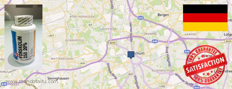 Wo kaufen Forskolin online Bochum, Germany