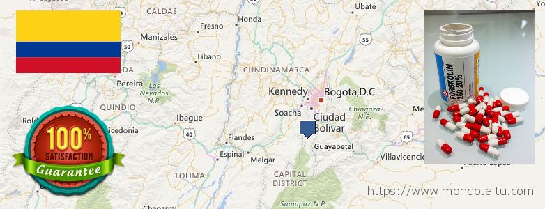Where to Buy Forskolin Diet Pills online Bogota, Colombia