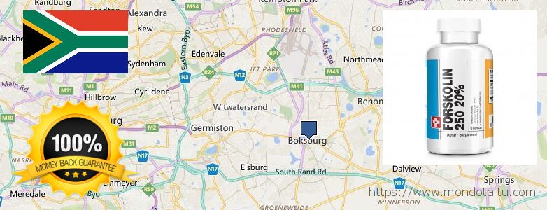 Where Can You Buy Forskolin Diet Pills online Boksburg, South Africa