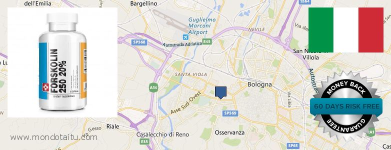 Dove acquistare Forskolin in linea Bologna, Italy
