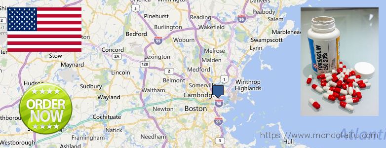 Dónde comprar Forskolin en linea Boston, United States