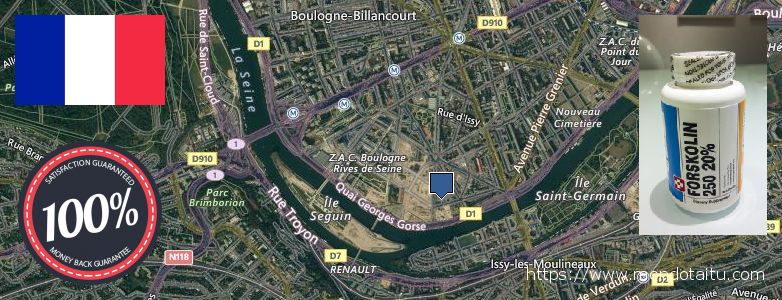 Où Acheter Forskolin en ligne Boulogne-Billancourt, France