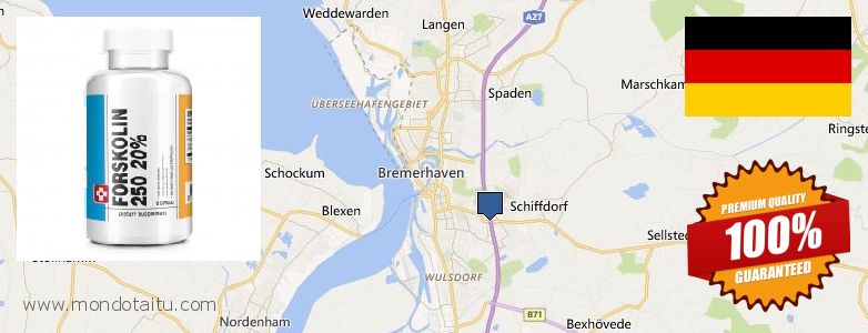 Wo kaufen Forskolin online Bremerhaven, Germany