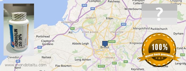 Where to Purchase Forskolin Diet Pills online Bristol, UK