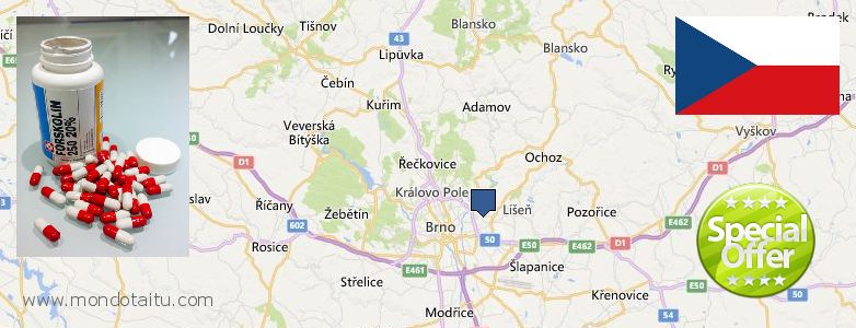 Where Can You Buy Forskolin Diet Pills online Brno, Czech Republic