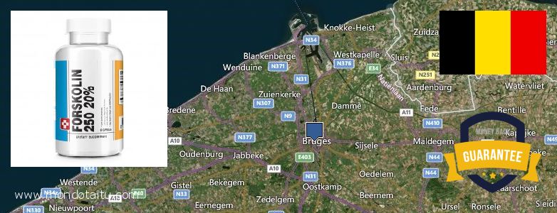 Where to Buy Forskolin Diet Pills online Brugge, Belgium