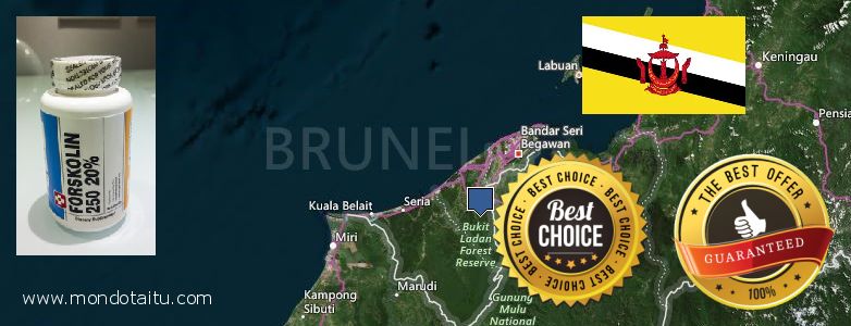 Where to Purchase Forskolin Diet Pills online Brunei