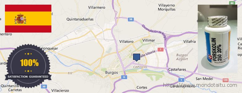 Where to Purchase Forskolin Diet Pills online Burgos, Spain