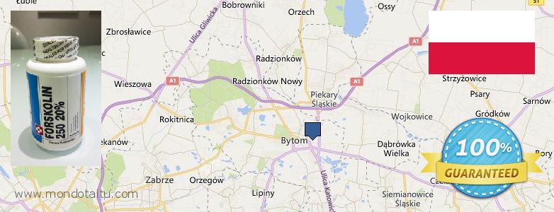 Where to Purchase Forskolin Diet Pills online Bytom, Poland