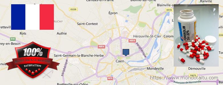 Où Acheter Forskolin en ligne Caen, France
