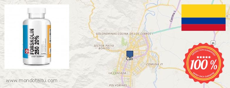 Where to Buy Forskolin Diet Pills online Cali, Colombia